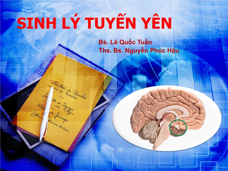 Bài giảng Sinh lý tuyến yên - Lê Quốc Tuấn trang 1