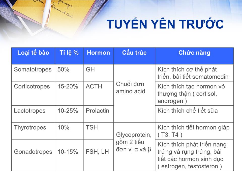 Bài giảng Sinh lý tuyến yên - Lê Quốc Tuấn trang 8