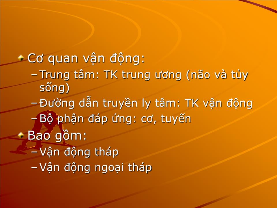 Bài giảng Sinh lý vận động - Nguyễn Trung Kiên trang 2