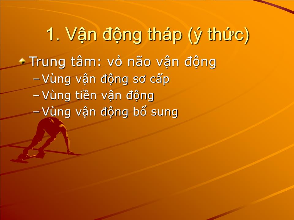 Bài giảng Sinh lý vận động - Nguyễn Trung Kiên trang 3