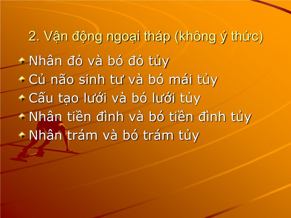 Bài giảng Sinh lý vận động - Nguyễn Trung Kiên trang 5