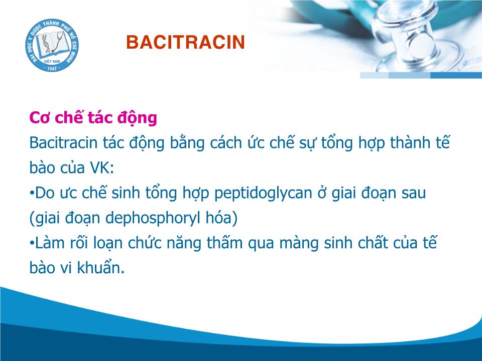 Bài giảng Kháng sinh cấu trúc Peptid - Trần Thành Đạo trang 10