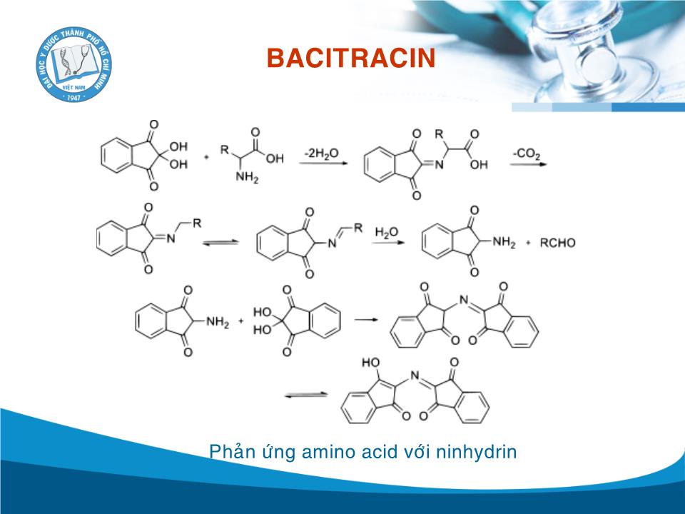 Bài giảng Kháng sinh cấu trúc Peptid - Trần Thành Đạo trang 8