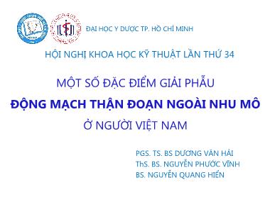 Một số đặc điểm giải phẫu động mạch thận đoạn ngoài nhu mô ở người Việt Nam