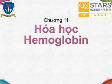 Bài giảng Hóa sinh - Chương 11: Hóa học Hemoglobin
