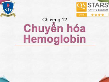 Bài giảng Hóa sinh - Chương 12: Chuyển hóa Hemoglobin