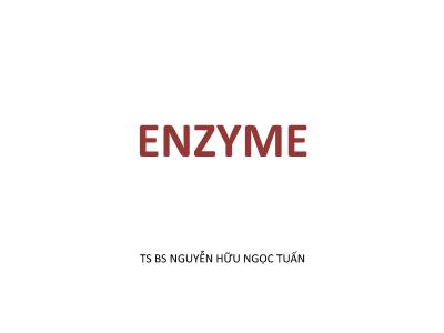 Bài giảng Enzyme - Nguyễn Hữu Ngọc Tuấn