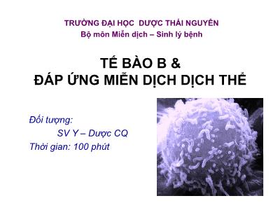 Bài giảng Miễn dịch - Bài: Tế bào B & đáp ứng miễn dịch dịch thể