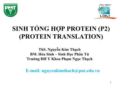 Bài giảng Sinh học phân tử - Bài: Sinh tổng hợp protein (Protein translation) (Phần 2) - Nguyễn Kim Thạch