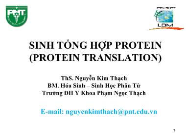 Bài giảng Sinh học phân tử - Bài: Sinh tổng hợp protein (Protein translation) (Phần 1) - Nguyễn Kim Thạch