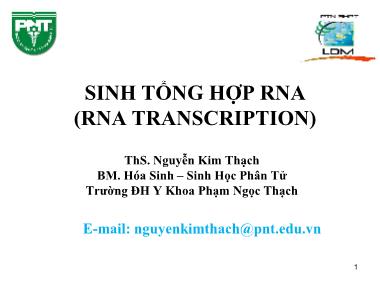Bài giảng Sinh học phân tử - Bài: Sinh tổng hợp RNA (RNA Transcription) - Nguyễn Kim Thạch