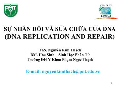 Bài giảng Sinh học phân tử - Bài: Sự nhân đôi và sửa chữa của DNA (DNA Replication and Repair) - Nguyễn Kim Thạch