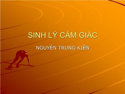 Bài giảng Sinh lý cảm giác - Nguyễn Trung Kiên