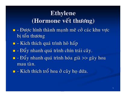 Bài giảng Sinh lý thực vật - Bài: Ethylene (Hormone vết thương)