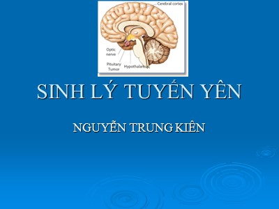 Bài giảng Sinh lý tuyến yên - Nguyễn Trung Kiên