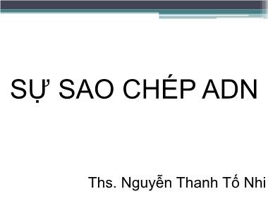 Bài giảng Sự sao chép ADN - Nguyễn Thanh Tố Nhi