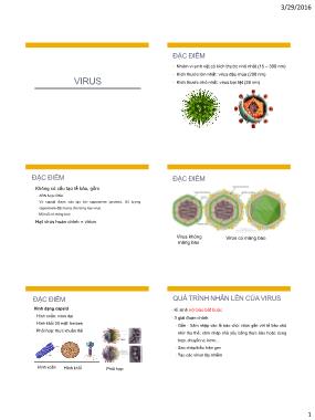 Bài giảng Vi sinh vật - Bài: Virus