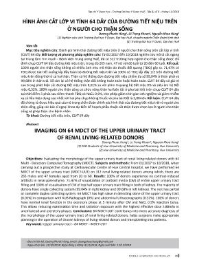 Hình ảnh cắt lớp vi tính 64 dãy của đường tiết niệu trên ở người cho thận sống