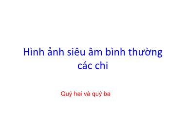 Hình ảnh siêu âm bình thường các chi